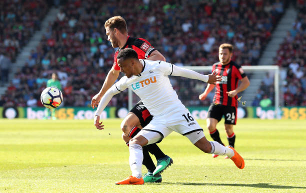 门将利瓦科 门将利瓦科