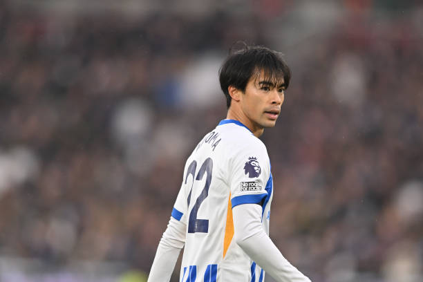 们全力参与 们全力参与